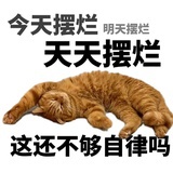 今天上班不摸鱼