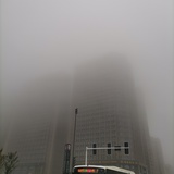 杨幂的日记本