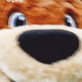 哈哈哈哈哈哈哈