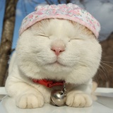 开心生活最重要