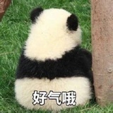 😈的小红帽