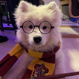 充电中勿扰