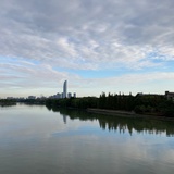 乔木