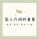 坠入凡间的星星
