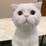^-^小可爱