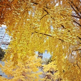 豆友188763912