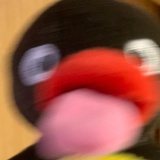 pingu