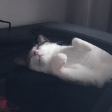 沐柒