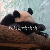 略略略