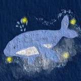 小🐬游在森林里