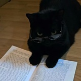 👓