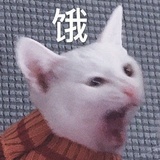 张邈