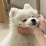 (=^▽^=)