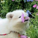 一天能睡22小时