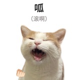 61号狙击手🔫