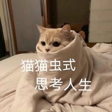 恭喜发财🧧