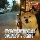蛋小疼