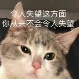 我是谁 我在哪