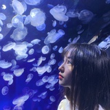 筠月十里