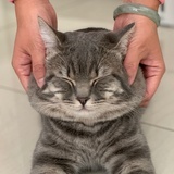 slowlycool