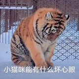 perplexed