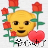法外狂徒赵四