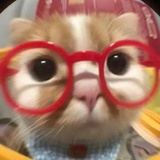 再也不囤了