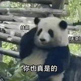 一箱卡式带