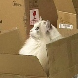 潋潋潋