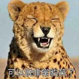 雪落唱啊