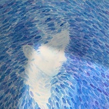就在人海里