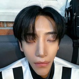 小狗保育员