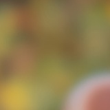 大头菜