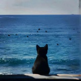 新泽西人在蔚山