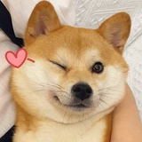 碎碎念