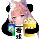 归途有风