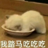 西瓜太圆啦