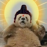 么么儿🐼