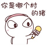 罗略略