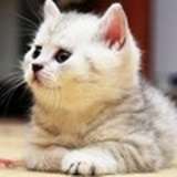 伴你一起美