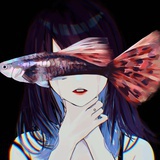 决明子