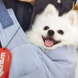 小鱼丁