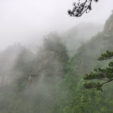 木的木