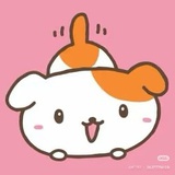 乐生狗狗🐾