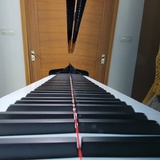 在学钢琴的cm