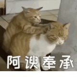 爱吃脑花