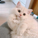 猗猗不是大坏蛋
