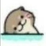 今天也想吃面包