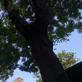 更好