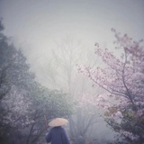 云自在龛